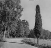 Gestad, Enträd. Byväg.