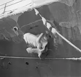 Jag Uppland isbildning