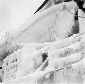 Jag Uppland isbildning