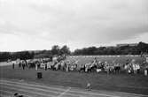 Nationaldagsfirande på Kvarnbyvallen i Mölndal, år 1984.

För mer information om bilden se under tilläggsinformation.