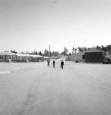 Skolbarn på nybyggda Dalaberg 1960