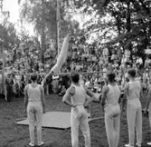 Svenska flaggans dag