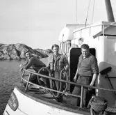 Rönnängs varv 1961