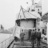 Älvsnabben lastning av agg.