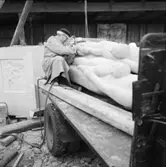 Transport och resning av monument