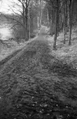 Vandringsled, troligen i Torrekulla-området i Kållered, år 1983. 