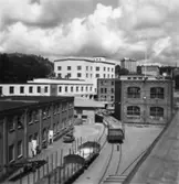 Papyrus fabriksområde.