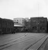 Papyrus fabriksområde.