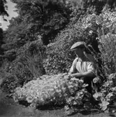 Villa Papyrus, parken.