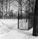 Villa Papyrus, staket.
Gjutet på RosendahlÂ´s (Korndal) egna gjuteri.
(Ernst Hansson som senare startade Mölndals Metallgjuteri arbetade här)