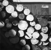 Ved från Hylte Bruk taget i Papyrus vedgård.