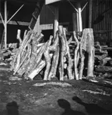 Ved från Hylte Bruk taget i Papyrus vedgård.