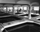 Vattenrening, interiör.