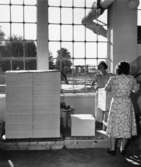 Risbindning.
Två okända kvinnor.