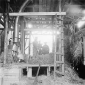 Halmeldning.
Tre okända män.