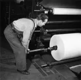 Säkerhetstjänst, spindeliläggning.
En man med på bilden.