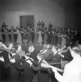 Tjänstemännen på Papyrus har personalfest, 16/4-1948.