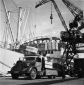 M/S Argentina som tillhörde Rederi AB / Johnson Line ligger för lastning vid Frihamnspiren i Göteborg. Destinationen för resan är Buenos Aires i Argentina, en resa som anträddes  3 april 1942. I lasten ingick bland annat papper från AB Papyrus.

M/S Argentina gick i lejdetrafik under Andra Världskriget och resan till Buenos Aires gjordes i sällskap med bolagsfartyget Annie Johnson. Från Buenos Aires gick man senare vidare till Santos i Brasilien.

15 juli 1942 lämnade man Santos i följe med Svenska Amerika Mexiko Liniens M/S Uddeholm.  Den 6 juli körde de två fartygen på en tysk minspärr 30 sjömil sydväst om Kristiansand. Först gick Uddeholm på. Där klarade sig hela besättningen. Därefter var det M/S Argentinas tur. Detta fartyg sjönk på två minuter. Fyra man omkom varav två ur besättningen, en kontrollofficer och en passagerare.