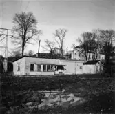 Byggnad nr 229. Karl Klings Handelsträdgård