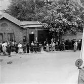 Fabriksvisning för anställdas anhöriga den 19 maj 1953.