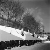 Papyrus fabriksområde. Vinterbild.