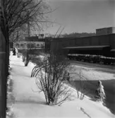 Papyrus fabriksområde. Vinterbild.