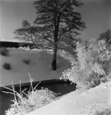 Papyrus fabriksområde vid ramverkstaden. Vinterbild.