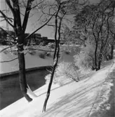 Papyrus fabriksområde vid ramverkstaden. Vinterbild.