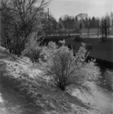 Papyrus fabriksområde vid ramverkstaden. Vinterbild.