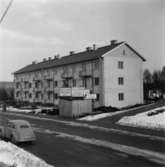 Klängrosen II.
Stensjögatan 22