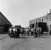 Reportage från pressvisningen den 29/8 1955.