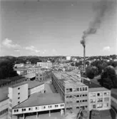 Papyrus fabriksområde.