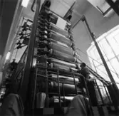 Glätt nr 17.
Personen okänd.