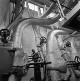 Ångcentralen, interiör.
Gunnar Söderlund.