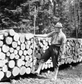 Forsa skogar. Skogvaktare Torbjörn Karlsson. Kontrollmätning, militärvägen.