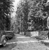 Forsa skogar. Militärvägen.