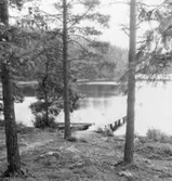 Forsa skogar. Stockasjön.