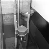 Detaljbild av vattenfilter på Papyrus, den 8/8-1961.