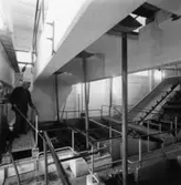 Nya renseriet på Papyrus, den 10/8-1961.
En man är med på bilden.