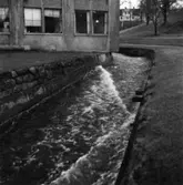 Mölndalsån inom fabriksområdet vid byggnad nr 19.