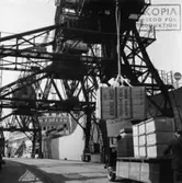 Lastning i hamnen. Fartyget är M/S La Plata som tillhörde Rederi AB Nordstjernan / Johnson Line. Fartygets destination är Buenos Aires i Argentina och i lasten ingick papper tillverkat av AB Papyrus i Mölndal.

La Plata gjorde en tur och returresa som lejdbåt 1944. Bilden bör vara tagen under sommaren.