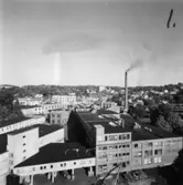 Papyrus fabriksområde.