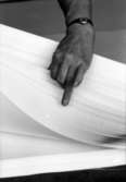 Sortering och räkning av papper på Papyrus, 12/5-1970.

Fotograf: Rolf Salomonsson, Wezäta studio, Grafiska Vägen Box 5057, 
402 22 Göteborg 5 Växel 031/40 01 40