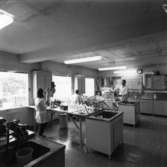 Några personer arbetar i laboratoriet på Papyrus, 8/9-1970.