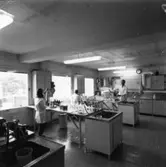 Några personer arbetar i laboratoriet på Papyrus, 8/9-1970.