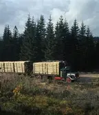 Timmerlass, fotografi för årsberättelse 1967.