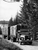 Timmerlass, fotografi för årsberättelse 1967.