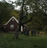 Papyrus, fältskjutning.