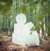 Papyrus, omslagsbild.