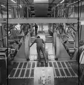 Interiörbild från Papyrus Nymölla AB. Rullpackning.